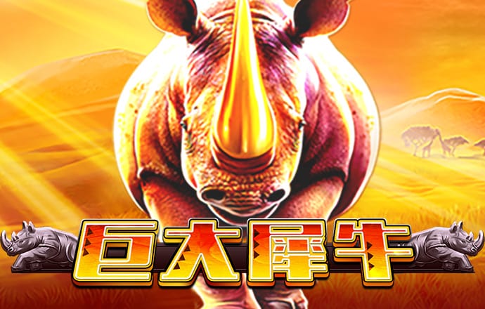bob买球
